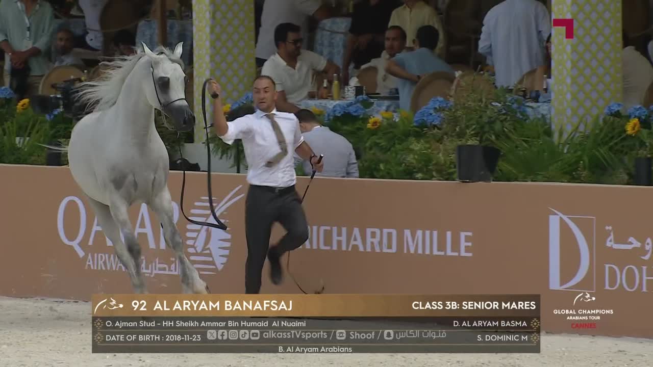 The Studio – Global Champions Arabians Tour | Round 5, Day 2