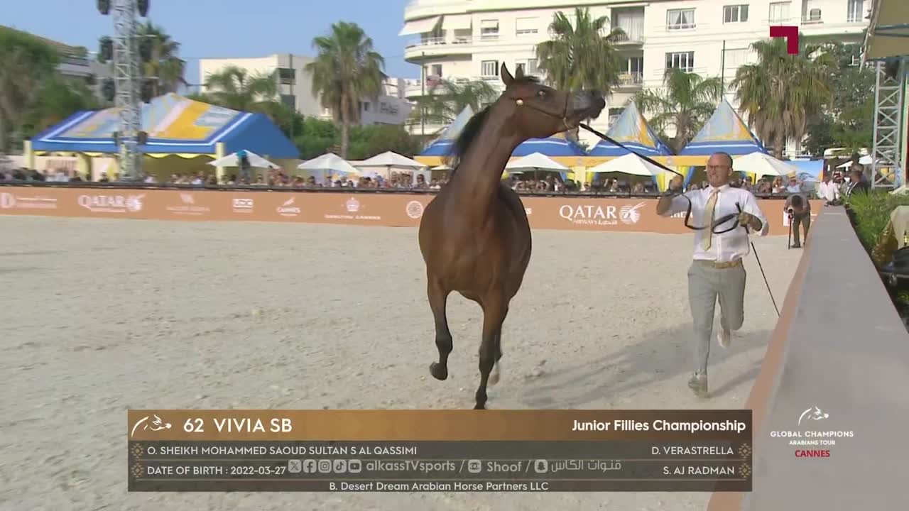 The Studio – Global Champions Arabians Tour | Round 5, Final Day 