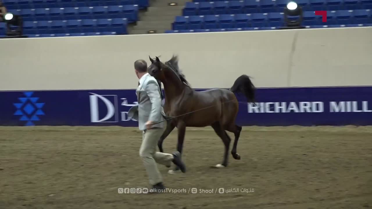 Global Champions Arabians Tour Americas Denver 2025 | Day 1