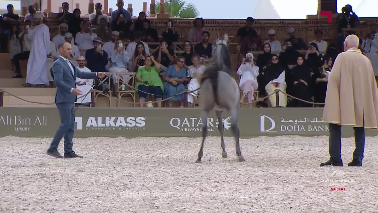 Global Champions Arabians Tour | Muscat 2026 | Day 1