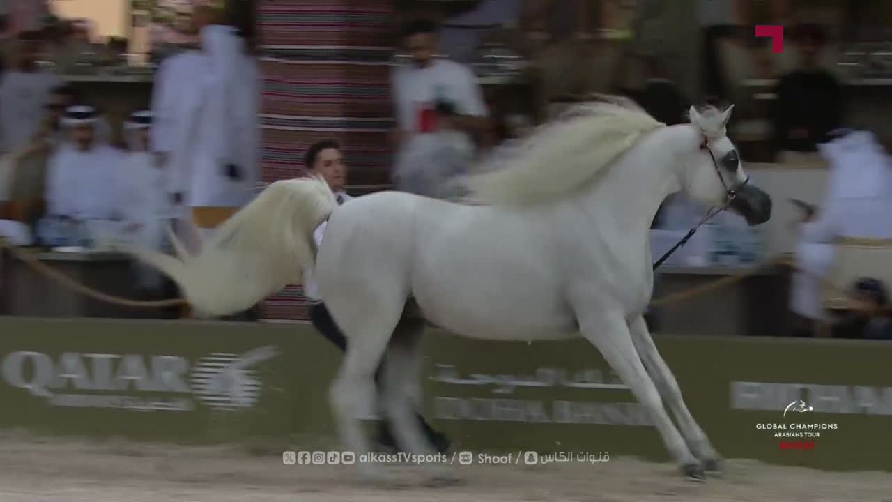 Global Champions Arabians Tour | Muscat 2026 | Day 2