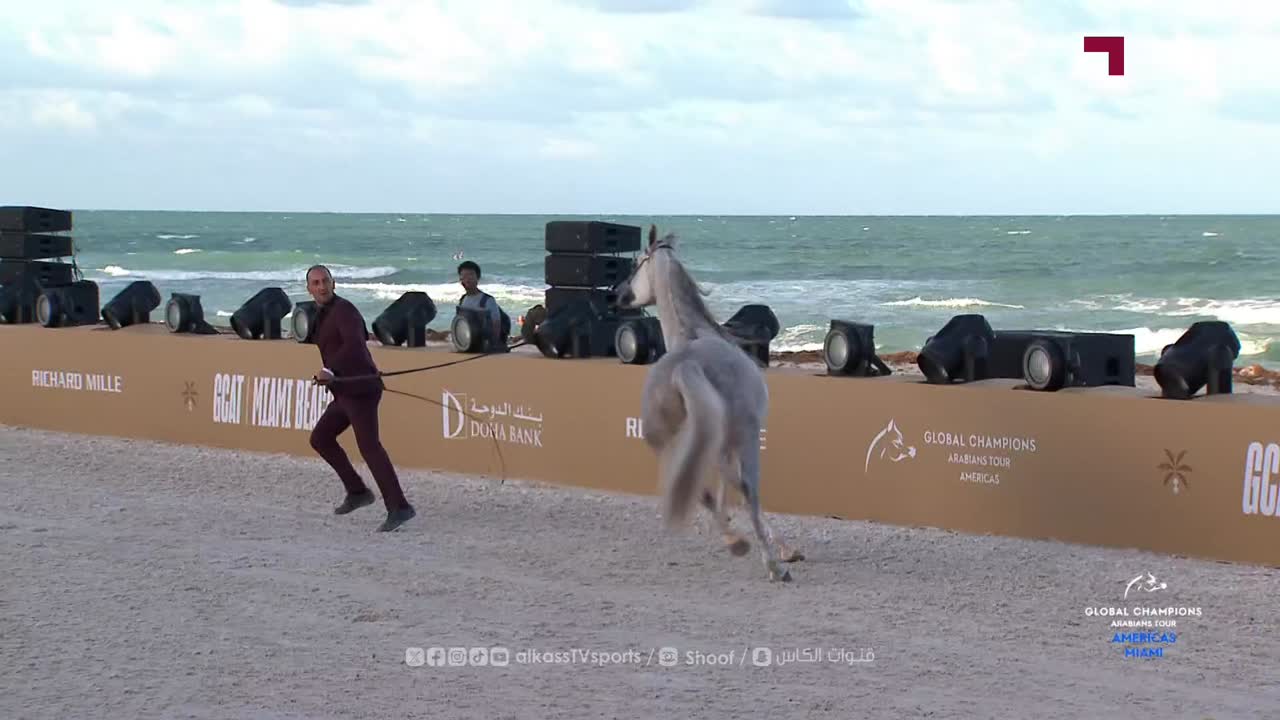 Global Champions Arabians Tour - Miami day 2