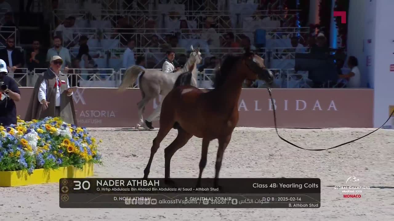 Global Champions Arabian Tour Monaco 2026 day 1