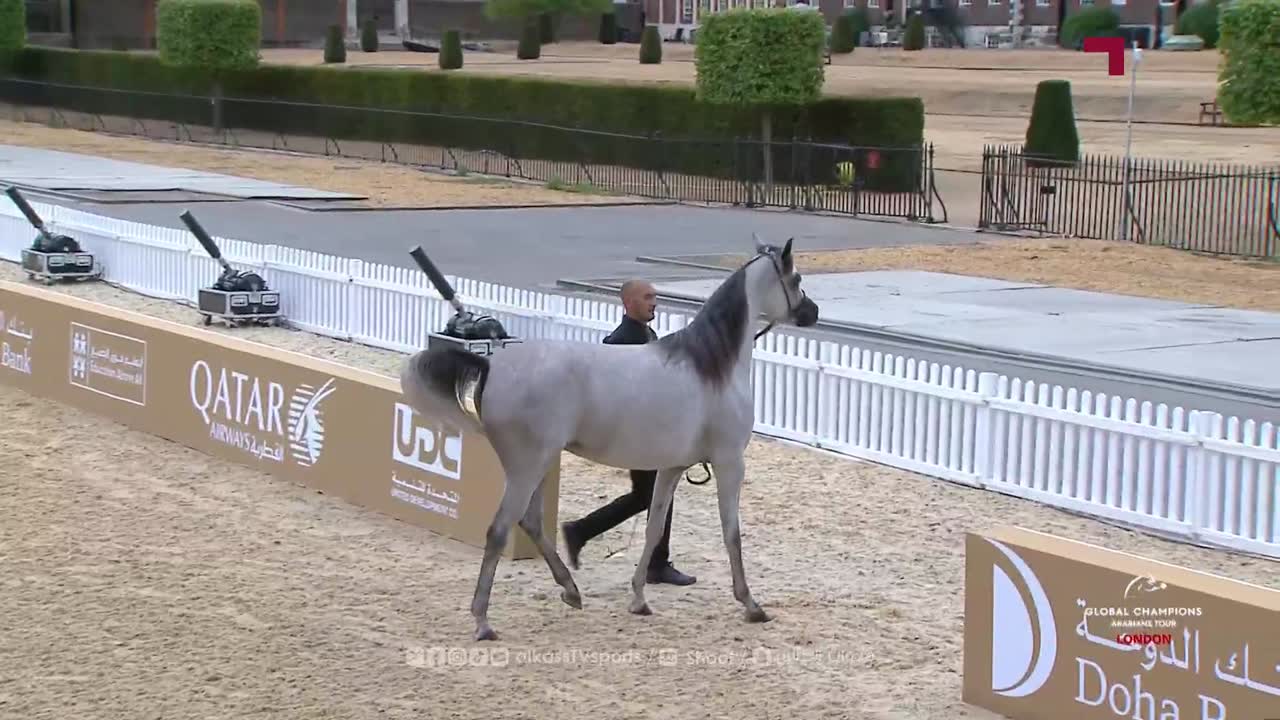 The final day of The Global Champions Arabians Tour – London 
