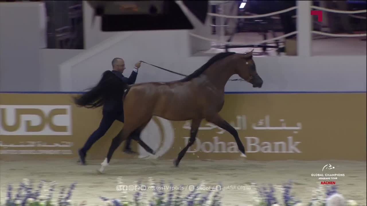 Global Champions Arabians Tour - Aachen DAY 2