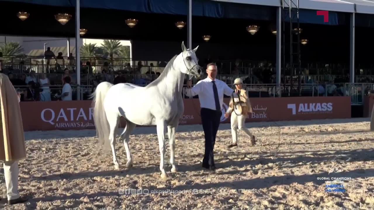 Global Champions Arabians Tour - Las Vegas 2026 day 2