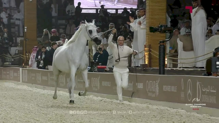 Global Champions Arabians Tour