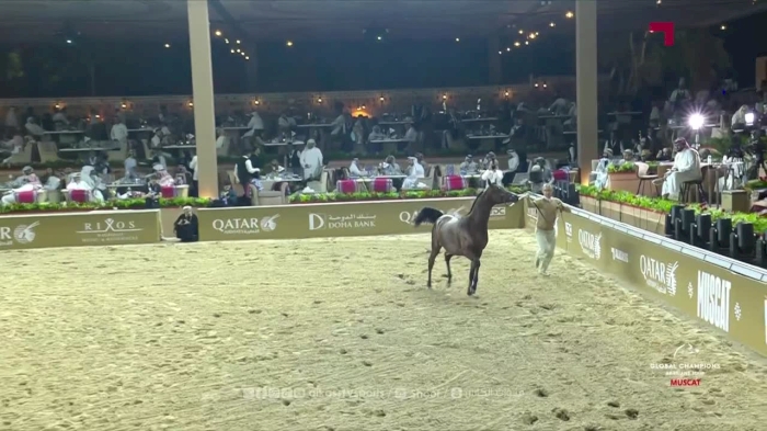The live studio of the Global Champions Arabians Tour 2025 | Day 1 | Oman, Muscat