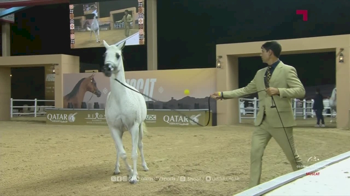 The live studio of the Global Champions Arabians Tour 2025 | Day 2 | Oman, Muscat