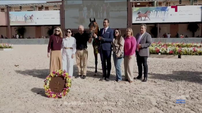 Global Champions Arabians Tour Studio - Sao Paulo