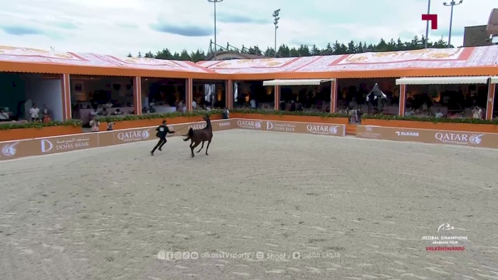 Global Champions Arabians Tour | Valkenswaard 2025 