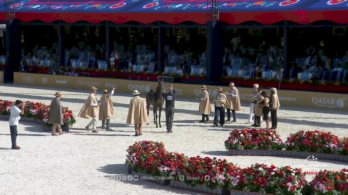 Global Champions Arabians Tour - Prague day 1 