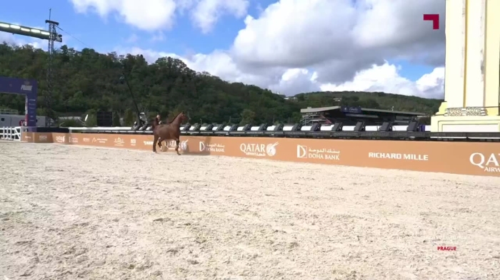 Global Champions Arabians Tour - Prague day 2
