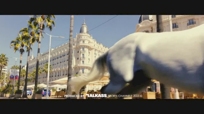 World Arabian Horse Championship