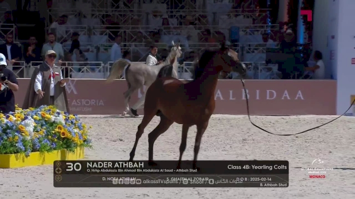 Global Champions Arabian Tour Monaco 2026 day 1