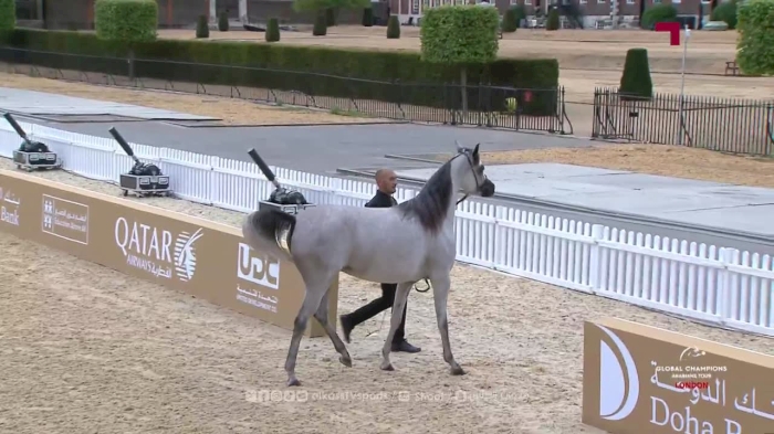 The final day of The Global Champions Arabians Tour – London 