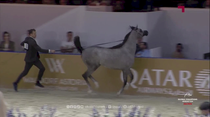 Global Champions Arabians Tour - Aachen Day 1