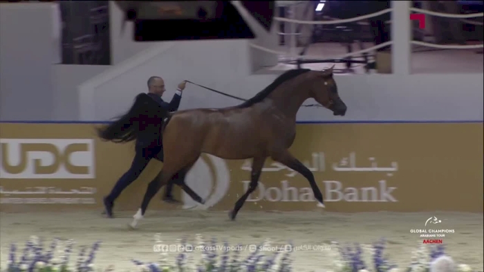 Global Champions Arabians Tour - Aachen DAY 2